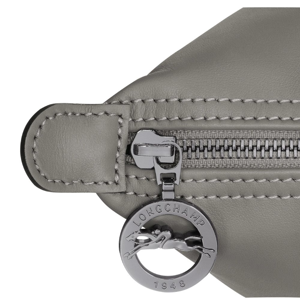 Сумка Longchamp Le Pliage Xtra M Tote Bag Turtledove- Leather